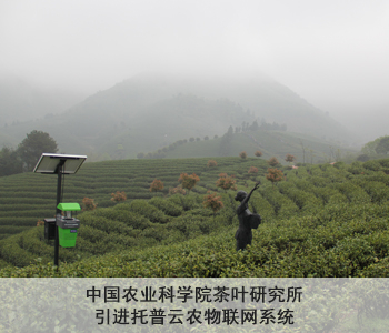 中国农业科学院茶叶研究所引进托普云农物联网系统
