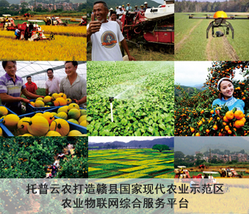 托普云农打造赣县国家现代农业示范区农业物联网综合服务平台