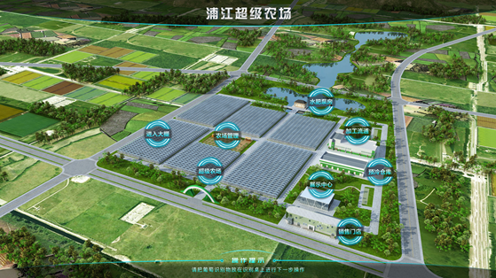 浦江超级农场：科技赋能让种植更高效
