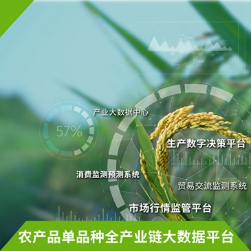 农产品单品种全产业链大数据平台